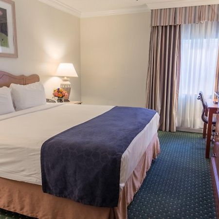 Maison Dupuy Hotel Новый Орлеан Экстерьер фото